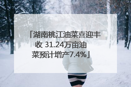 湖南桃江油菜喜迎丰收 31.24万亩油菜预计增产7.4%