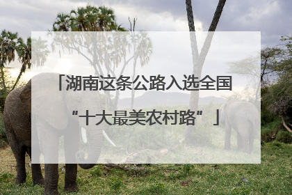 湖南这条公路入选全国“十大最美农村路”