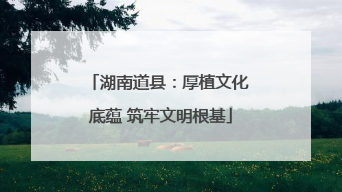湖南道县：厚植文化底蕴 筑牢文明根基