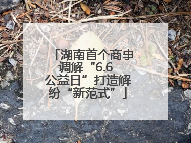 湖南首个商事调解“6.6 公益日”打造解纷“新范式”