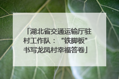 湖北省交通运输厅驻村工作队：“铁脚板”书写龙凤村幸福答卷