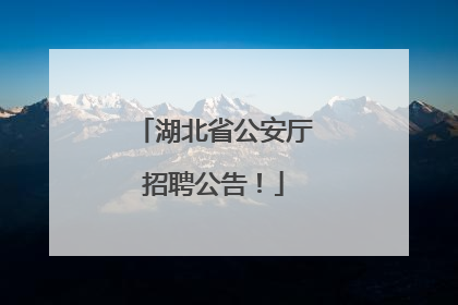 湖北省公安厅招聘公告！
