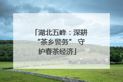 湖北五峰：深耕“茶乡警务” 守护春茶经济