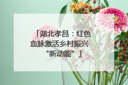 湖北孝昌：红色血脉激活乡村振兴“新动能”
