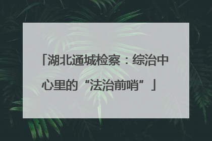 湖北通城检察：综治中心里的“法治前哨”