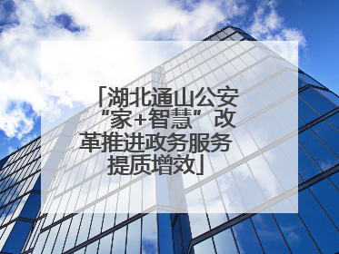 湖北通山公安“家+智慧”改革推进政务服务提质增效