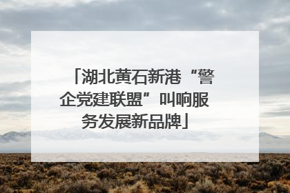 湖北黄石新港“警企党建联盟”叫响服务发展新品牌