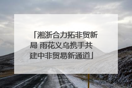 湘浙合力拓非贸新局 雨花义乌携手共建中非贸易新通道