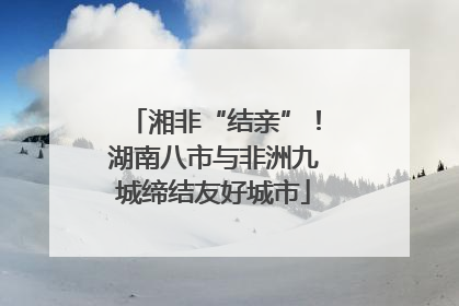 湘非“结亲”！湖南八市与非洲九城缔结友好城市
