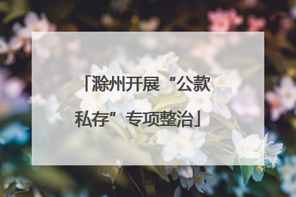 滁州开展“公款私存”专项整治