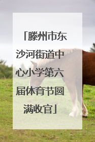 滕州市东沙河街道中心小学第六届体育节圆满收官