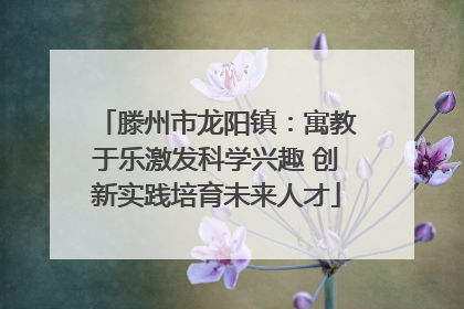 滕州市龙阳镇：寓教于乐激发科学兴趣 创新实践培育未来人才