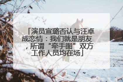 演员宣璐否认与汪卓成恋情：我们就是朋友，所谓“牵手图”双方工作人员均在场
