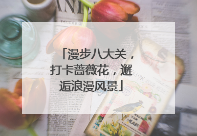 漫步八大关，打卡蔷薇花，邂逅浪漫风景