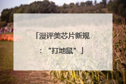 漫评美芯片新规：“打地鼠”
