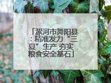 漯河市舞阳县：精准发力“三夏”生产 夯实粮食安全基石