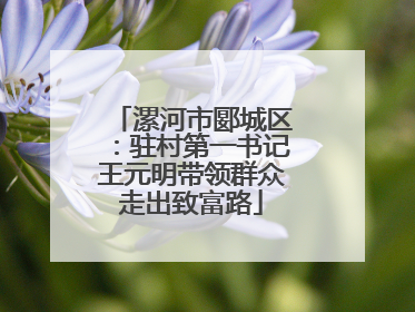 漯河市郾城区：驻村第一书记王元明带领群众走出致富路