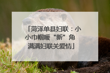 菏泽单县妇联：小小巾帼暖“新”角 满满妇联关爱情