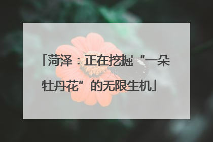 菏泽：正在挖掘“一朵牡丹花”的无限生机