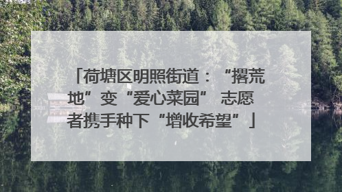 荷塘区明照街道：“撂荒地”变“爱心菜园” 志愿者携手种下“增收希望”