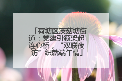 荷塘区茨菇塘街道：党建引领架起连心桥，“双联夜访”织就端午情