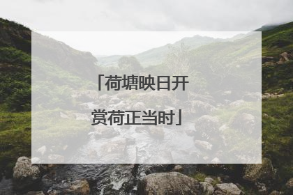 荷塘映日开 赏荷正当时