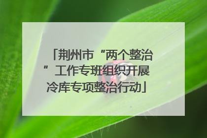 荆州市“两个整治”工作专班组织开展冷库专项整治行动