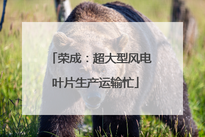 荣成：超大型风电叶片生产运输忙