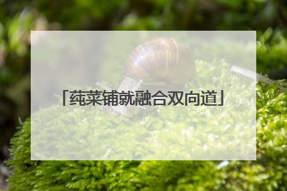 莼菜铺就融合双向道
