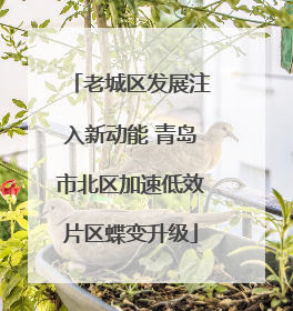 老城区发展注入新动能 青岛市北区加速低效片区蝶变升级
