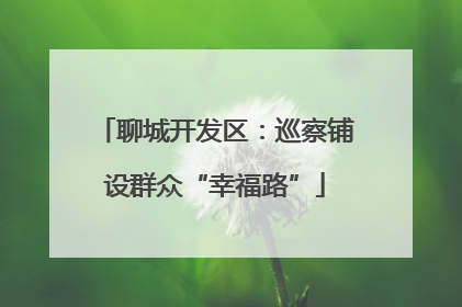 聊城开发区：巡察铺设群众“幸福路”