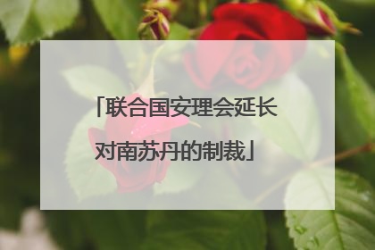 联合国安理会延长对南苏丹的制裁
