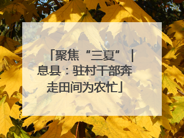 聚焦“三夏”｜息县：驻村干部奔走田间为农忙