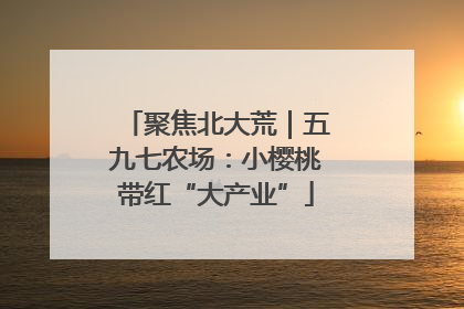 聚焦北大荒｜五九七农场：小樱桃带红“大产业”