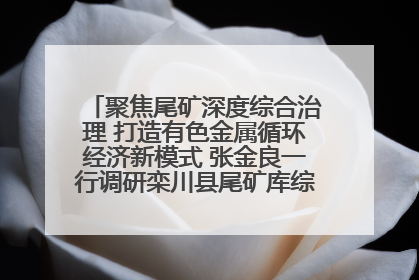 聚焦尾矿深度综合治理 打造有色金属循环经济新模式 张金良一行调研栾川县尾矿库综合治理工作