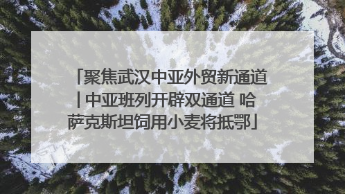 聚焦武汉中亚外贸新通道│中亚班列开辟双通道 哈萨克斯坦饲用小麦将抵鄂
