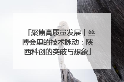 聚焦高质量发展丨丝博会里的技术脉动：陕西科创的突破与想象