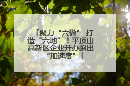 聚力“六做” 打造“六地”！平顶山高新区企业开办跑出“加速度”