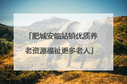 肥城安临站镇优质养老资源福祉更多老人