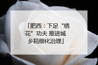 肥西：下足“绣花”功夫 推进城乡精细化治理
