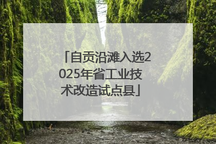 自贡沿滩入选2025年省工业技术改造试点县