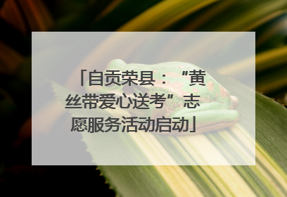 自贡荣县：“黄丝带爱心送考”志愿服务活动启动