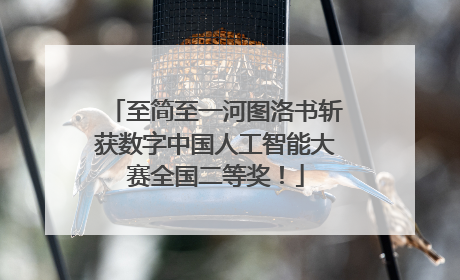 至简至一河图洛书斩获数字中国人工智能大赛全国二等奖！