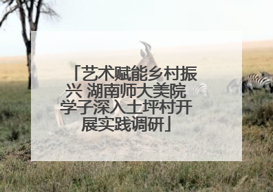 艺术赋能乡村振兴 湖南师大美院学子深入土坪村开展实践调研