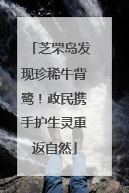 芝罘岛发现珍稀牛背鹭！政民携手护生灵重返自然