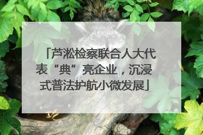 芦淞检察联合人大代表“典”亮企业，沉浸式普法护航小微发展