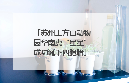 苏州上方山动物园华南虎“星星”成功诞下四胞胎