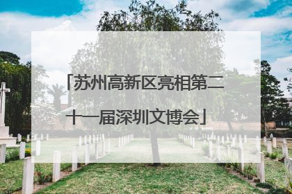 苏州高新区亮相第二十一届深圳文博会