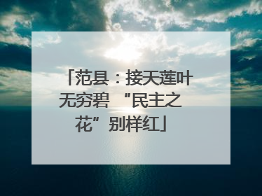 范县：接天莲叶无穷碧 “民主之花”别样红