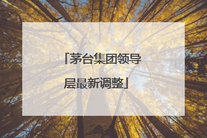 茅台集团领导层最新调整